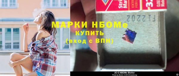 шишки Надым