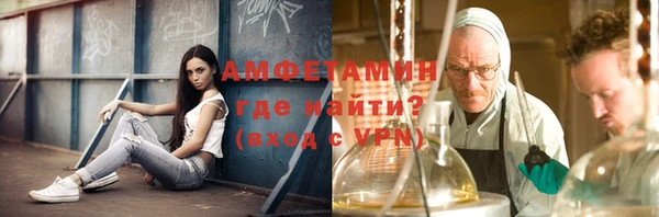 сатива Баксан