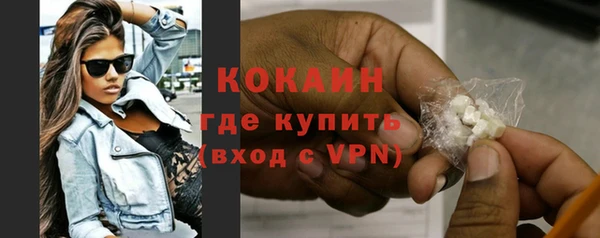 сатива Баксан