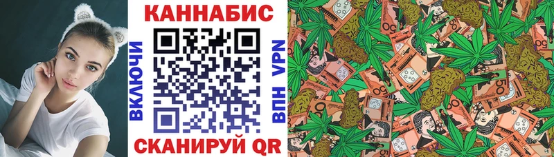 Бошки марихуана семена купить наркотики сайты Кировск